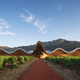 Illustration for article titled A Taste Of the World’s Five Must-See Wineries and Cellars This Harvest Season